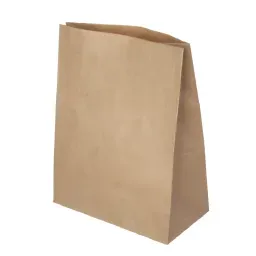 Пакет бумажный с прямоугольным дном, 220х120х290 мм, 